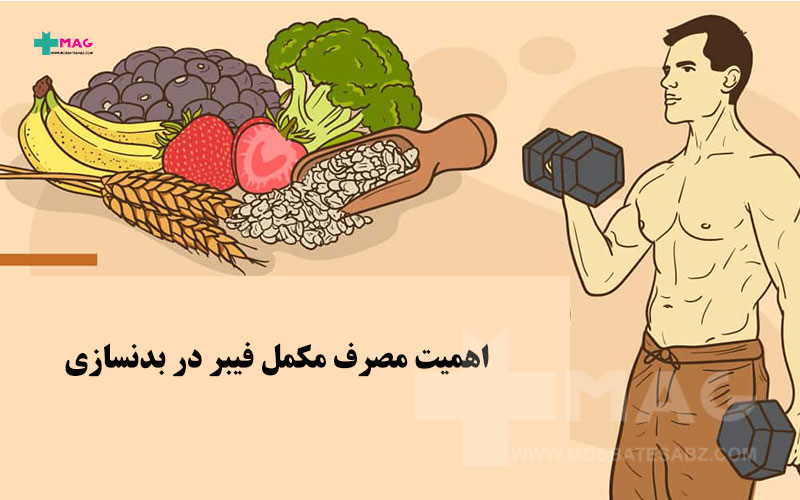 مکمل فیبر در بدنسازی