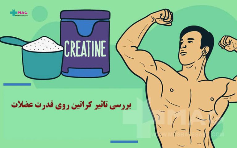 تاثیر کراتین روی قدرت عضلات