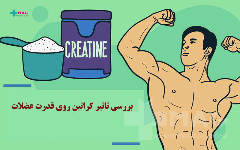 تاثیر کراتین روی قدرت عضلات