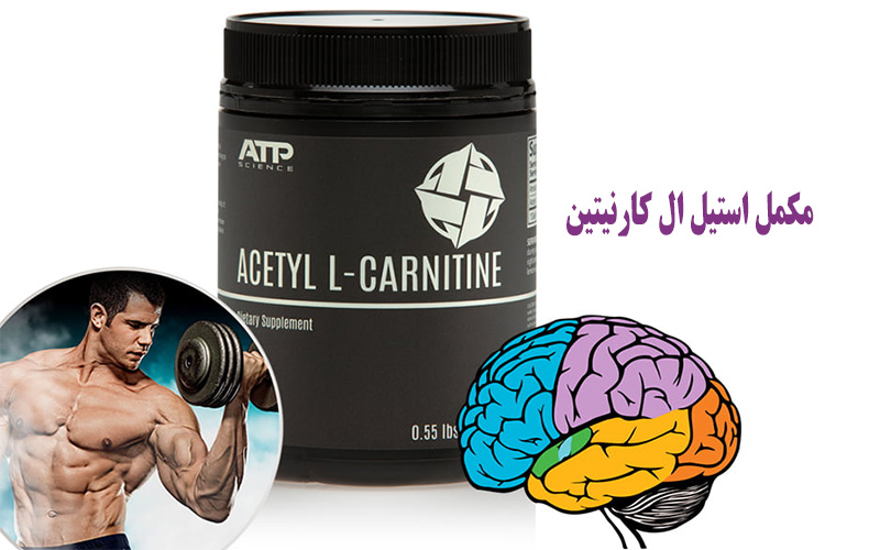 مکمل استیل ال کارنیتین