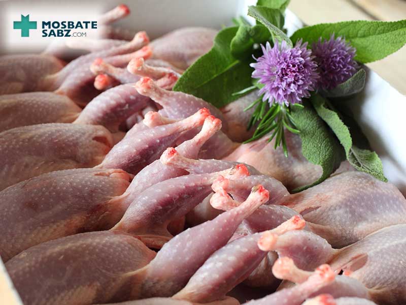 فواید و خواص گوشت بلدرچین
