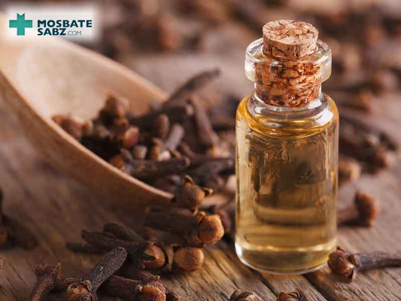 همه چیز درباره خواص روغن میخک