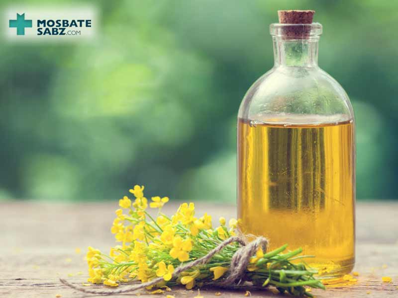 فواید روغن ضدسرطان کانولا چیست؟
