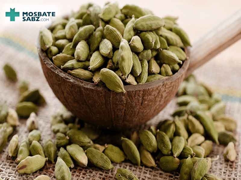 خواص هل چیست؟