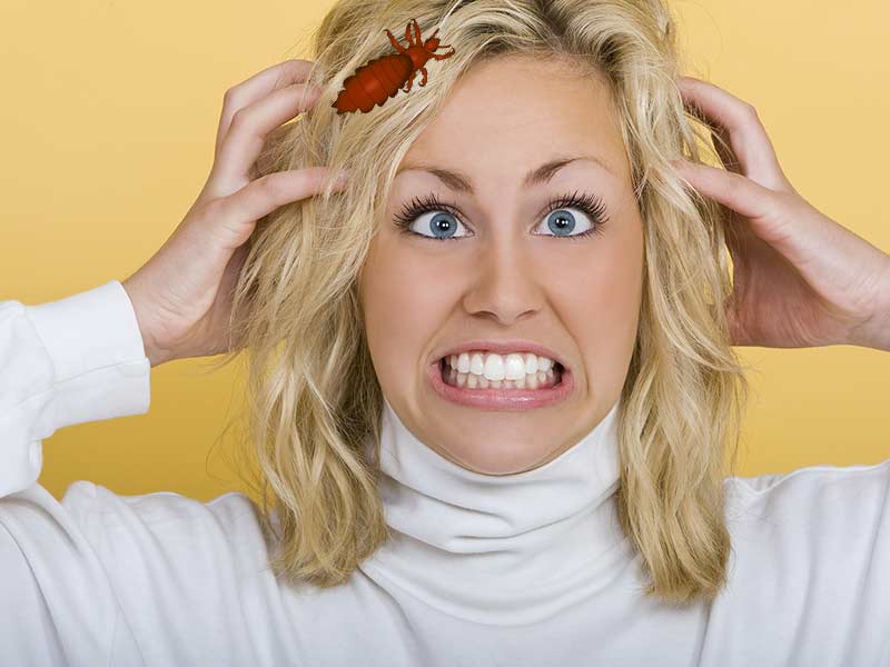 نشانه های ابتدایی شپش را می شناسید؟
