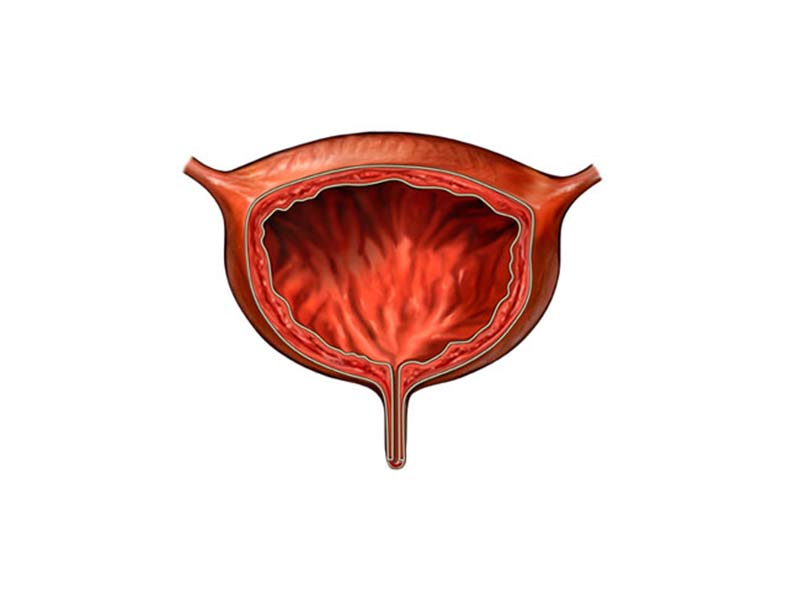 سوالات رایج درباره مثانه