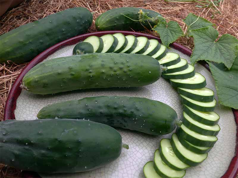 خواص شگفت انگیز خیار