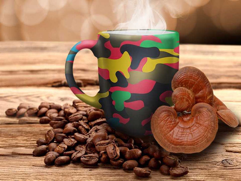 قهوه گانودرما
