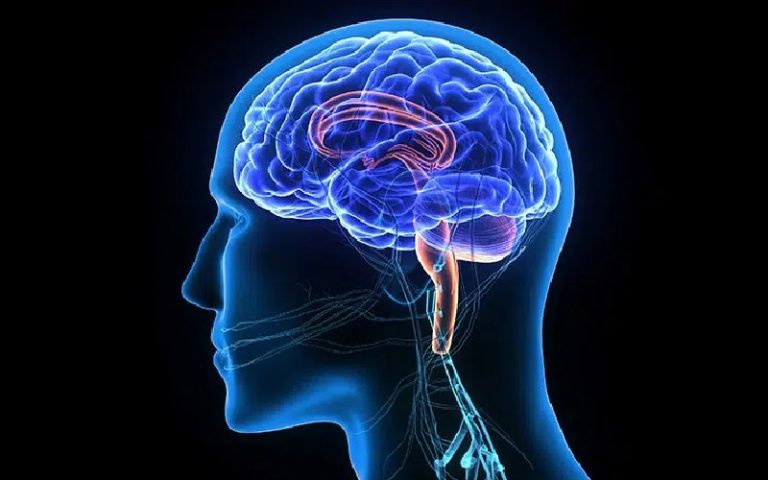 متخصص مغز و اعصاب