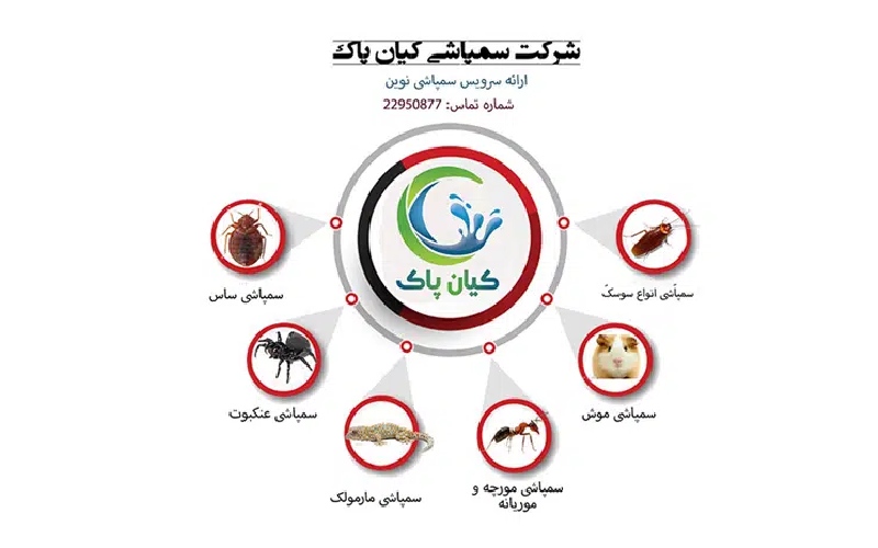 سم پاشی کنید تا به توکسوپلاسموز طاعون تیفوس هپاتیت سی مبتلا نشوید