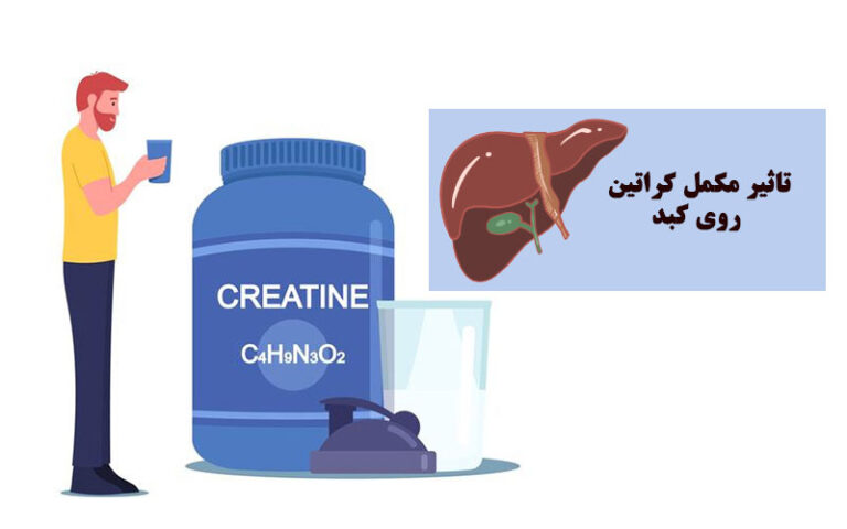 تاثیر کراتین روی کبد