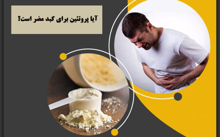 تاثیر پروتئین روی کبد