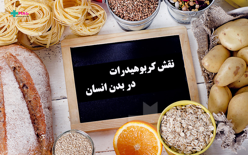 نقش کربوهیدرات در بدن