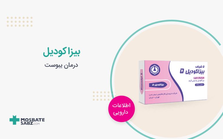 بیزاکودیل
