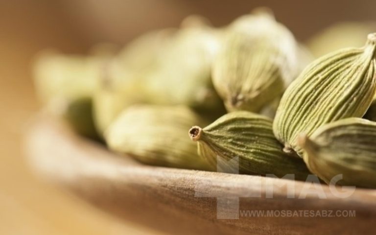 خواص هل برای کبد چرب