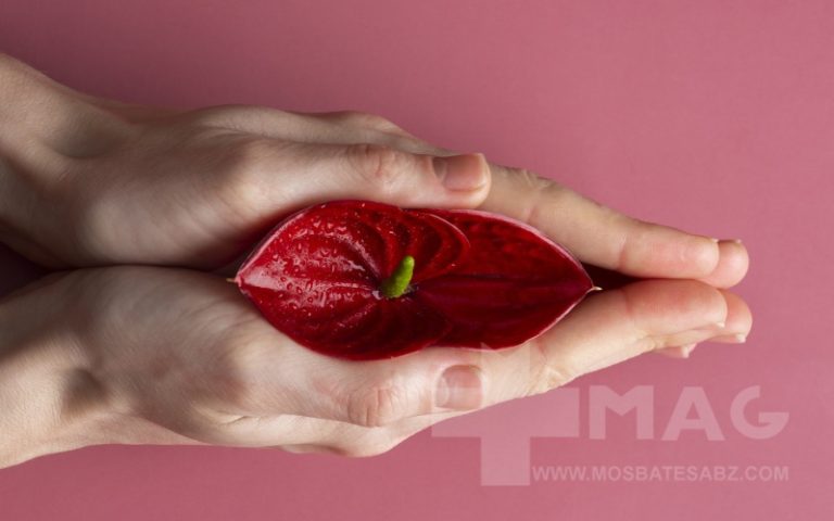عمل زیبایی واژن