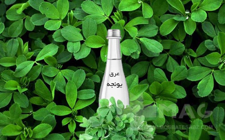 عرق یونجه