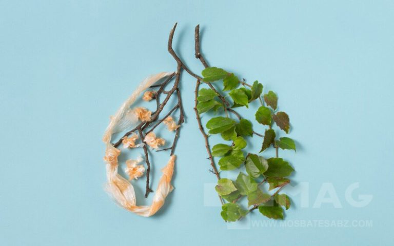 بهترین دمنوش برای پاکسازی ریه