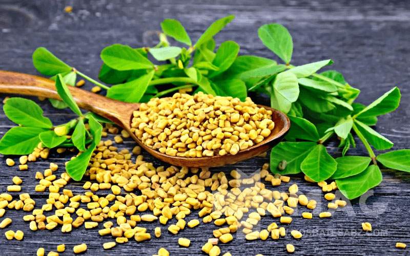 خواص شنبلیله