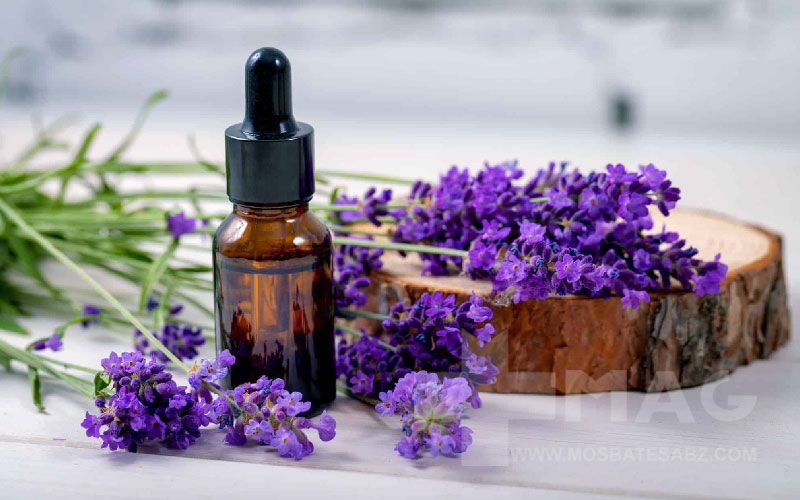 خواص روغن اسطوخودوس