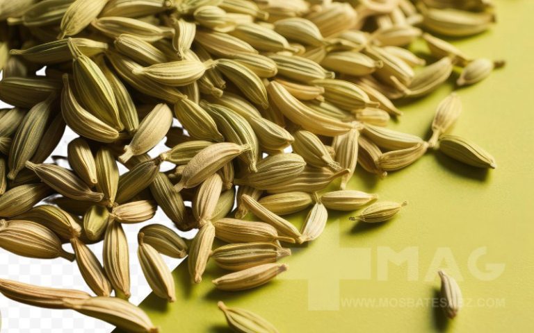 رازیانه چیست