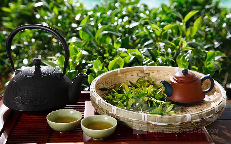 چای سبز