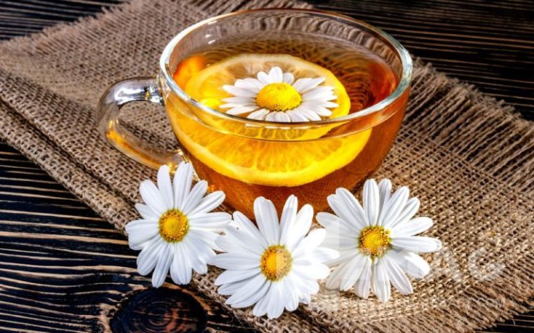 چای بابونه