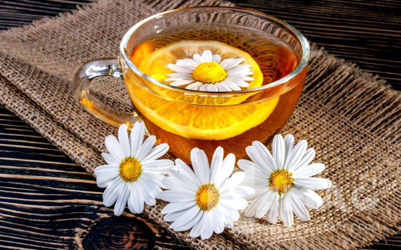 چای بابونه