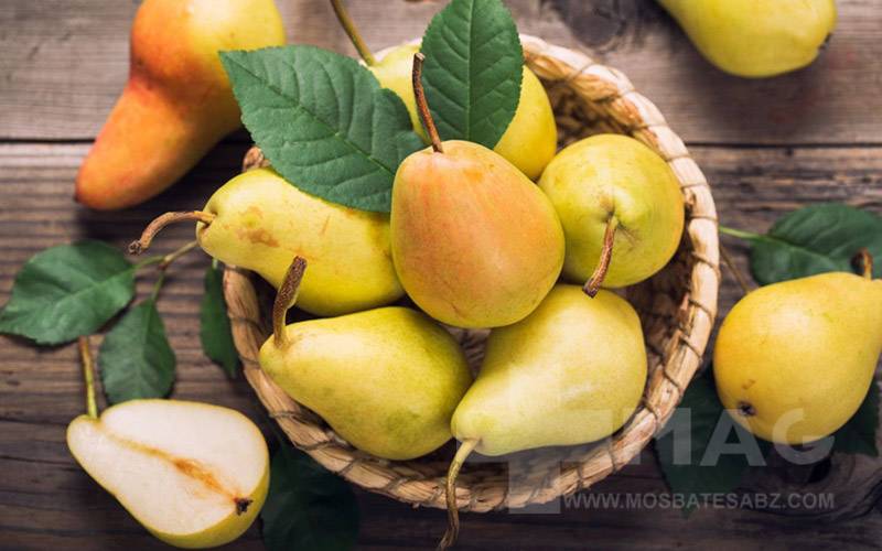 خواص گلابی