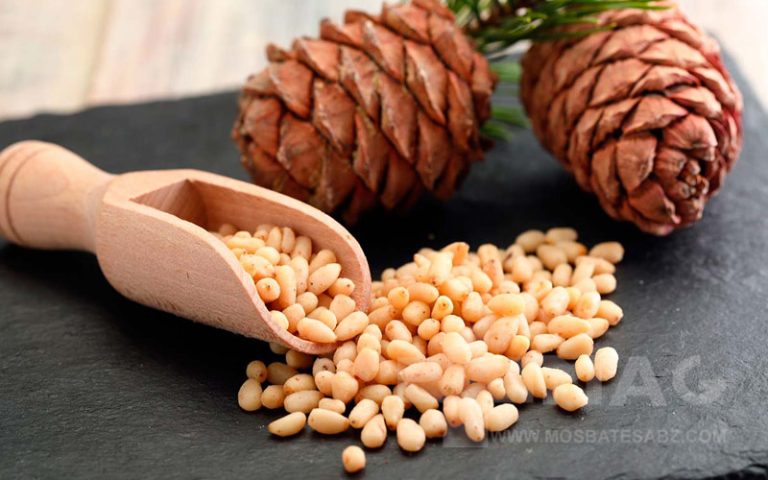 چلغوز