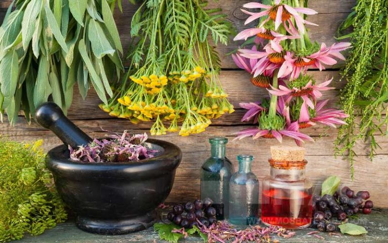 10 گیاه دارویی و اورژانسی که حتما باید درخانه داشته باشید!