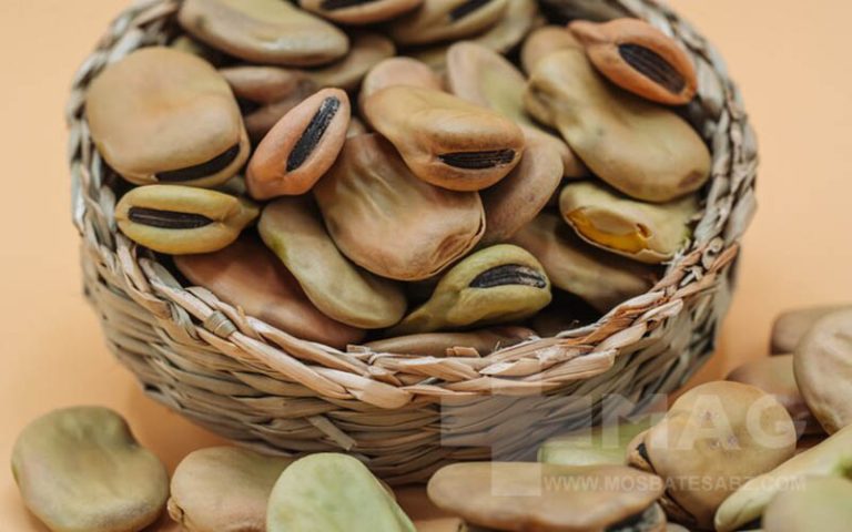فاویسم چیست؟
