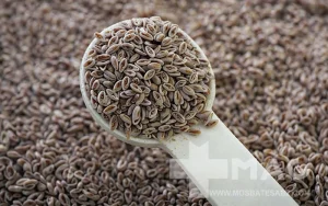 خواص بارهنگ برای بدن