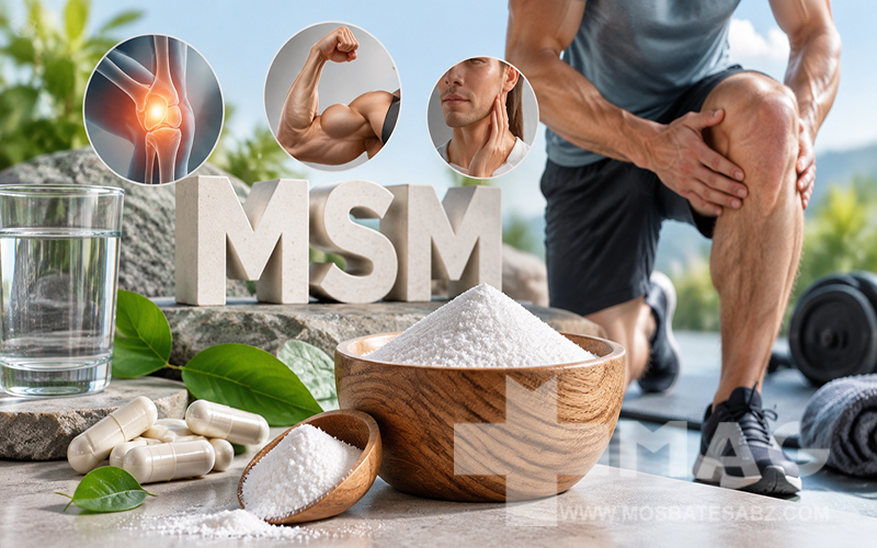 MSM چیست؟